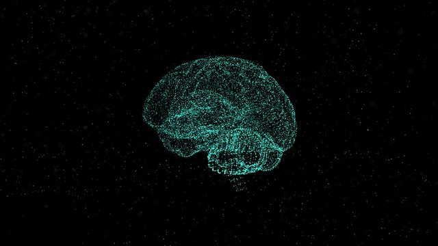 Concept for brain functions and activity. Brain hologram floats in space, each part of brain has its own function.