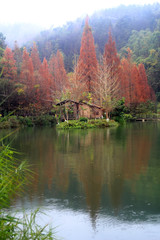 the Gudong Park,Guilin,China