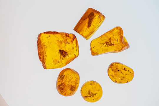 Inkluzje owad&oacute;w w pomarańczowym bałtyckim bursztynie . Baltic amber with inclusions of mosquito, fly, ant isolated on white background