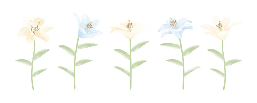 花 植物 ユリ イラスト 一輪 Stock Vector Adobe Stock