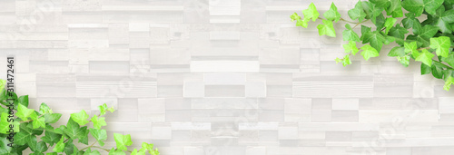 白い木目と植物の背景 Wall Mural Wallpaper Murals Rrice