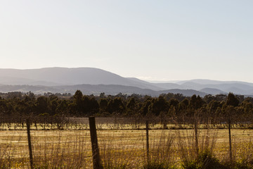 Country Landscape With Field And Mountains