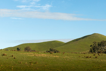 Natural Landscape With Green Hills And Blue Sky