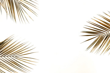Obraz premium Gold palm leaves frame isolated on a white background. top view. copy space. abstract.