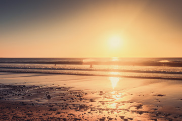 People swimming in the ocean at sunset