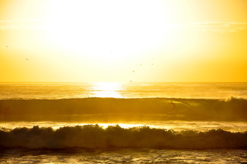 Surf sunrise Gold Coast