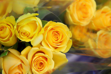 Yellow roses bouquet blooming top view in translucent plastic closeup scenic summer gift background