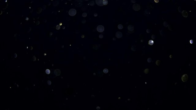 particles on black background, abstract overlay with particles and bokeh