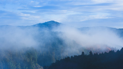 山　風景