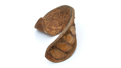 Nature object for decoration very detailed on texture.  isolated on a white background with clipping path.