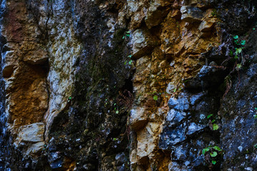 Image of a rocky wall.