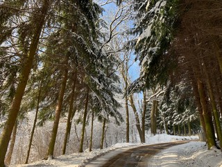 Winter Road