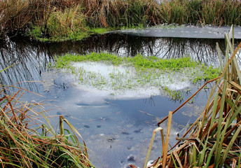 In the channel with water snow ice crust with green grass