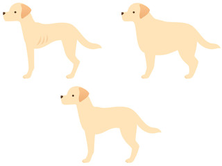 犬の体型三種類のイラストアイコンセット（肥満・標準・痩せている）