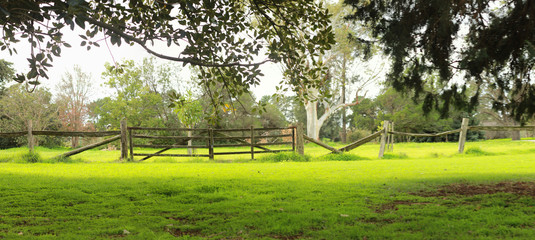 panorama of an old timber gate running along the back of a lush green garden beside the shade of a tall tree and small yellow flowers all over the lawn, in a large botanic garden on a hot spring day