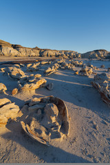 Bisti badlands, De-na-zin wilderness area, New Mexico, USA. Fantastic landscapes.