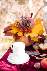 Beautiful autumn picnic in nature in the park.