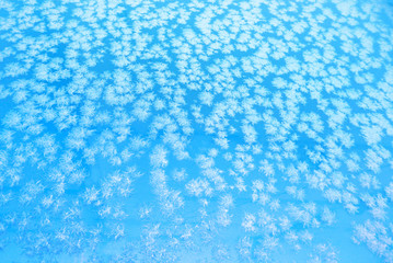 Winter frost in close up