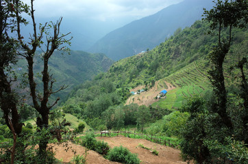 Terrases and house in Kharikhola village in Himalaya mountains, Solukhumbu region, Nepal
