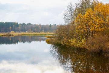 Fototapeta na wymiar Autumn landscape with water, yellow glass and yellow forest background