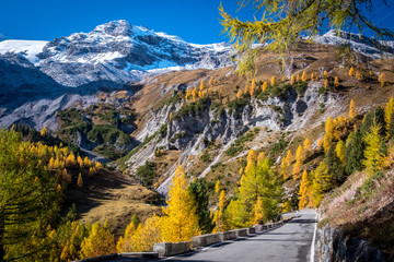 Dolomites Mountains, autumn landscape in the Passo Stelvio valley in South Tyrol in the Stelvio National Park, Alps, northern Italy, Europe.