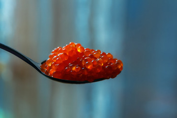red fish salmon caviar lies on metal spoon on blue background, side view