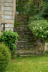 stone stairs in the garden