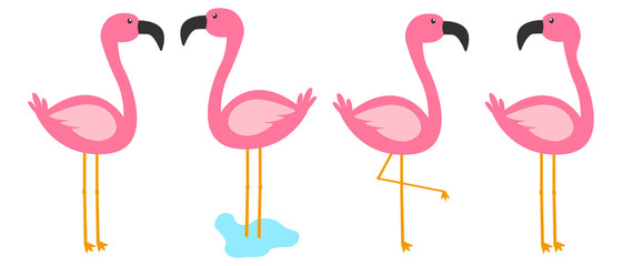 modern flamingo vektor set