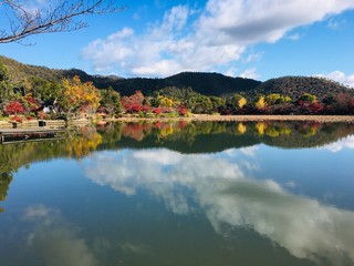 Obraz premium lake in mountains