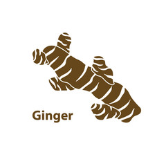 Ginger root food vector illustration