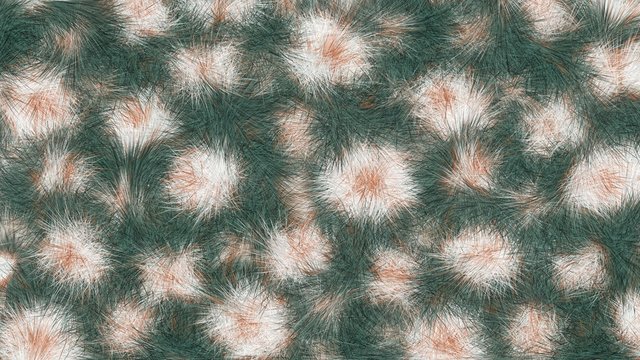 computer illustration in abstract color scheme fluffy texture fur surface flowers background are seen