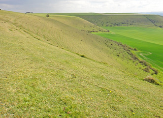 Hills at Mere in Wiltshire	