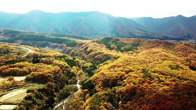 The autumn of Tohoku region.