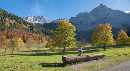 Fototapeta na wymiar beautiful karwendel mountains and landscape in autumn, wooden drinking trough