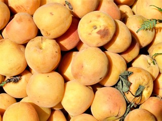 PEACHES IN AN OUTDOOR MARKET