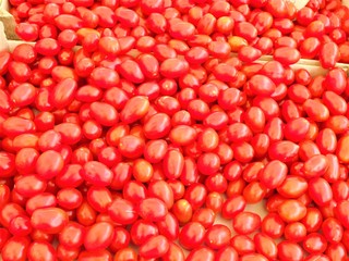 RED TOMATOES IN AN OUTDOOR MARKET