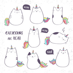Set of cute vector unicorn cats or caticorns, funny doodle cats with unicorns horns and tails, Caticorns are real - 311507452