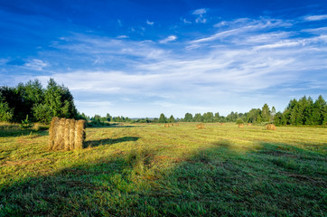 early morning. Hay roll on a mowed meadow under a blue sky