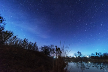 A magical starry night on the river bank with a large tree and a milky way in the sky and falling stars in the summer.	