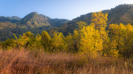 Fototapeta premium Layers of autumn colours in the Zabarwan Range in Srinagar, Kashmir