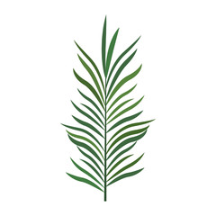 tropical leaf icon, colorful design