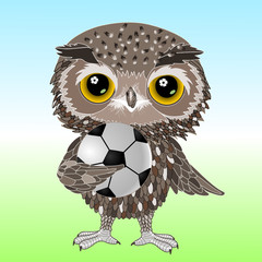 owl soccer player stands on the field and holds a football ball in his hands, color vector detailed illustration