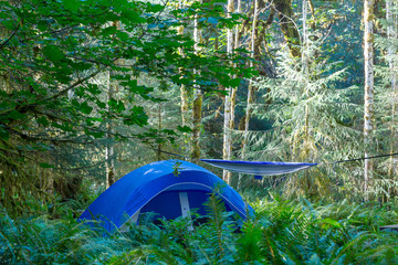 Tent in the forest
