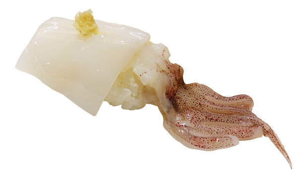 Japanese raw squid nigiri with ginger isolated white background