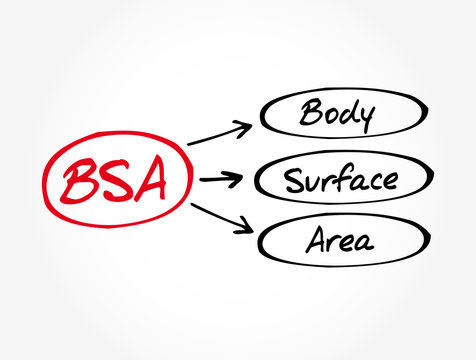 BSA - Body Surface Area acronym, concept background