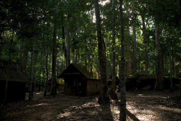 Fototapeta na wymiar Little hut in the forest.