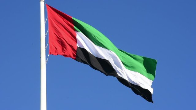 Bright bold United Arab Emirates Flags flying iand waving in the sunshine in preparation for national and flag day.