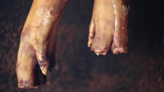 Pig's hoof hanging and drying in the smokehouse. Slow-motion shot