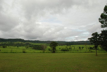 green field with cloudy sky.