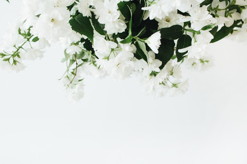 Closeup of flowers on white background. Minimal floral composition.